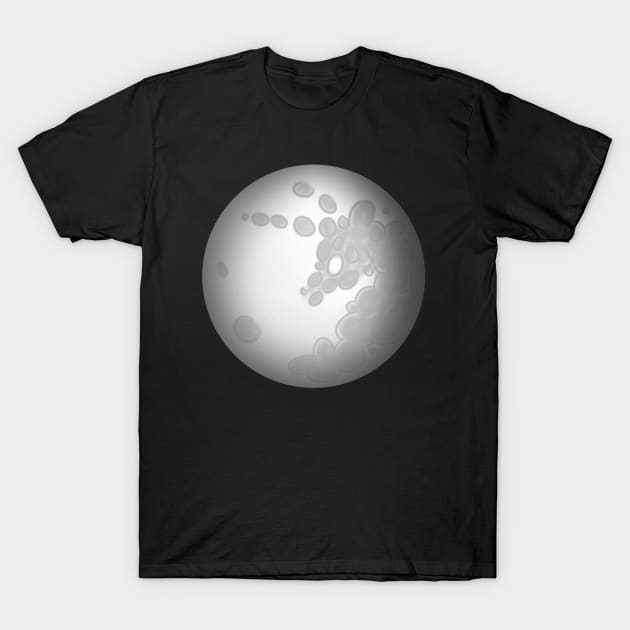 Mare in the Moon T-Shirt by MidnightPremiere